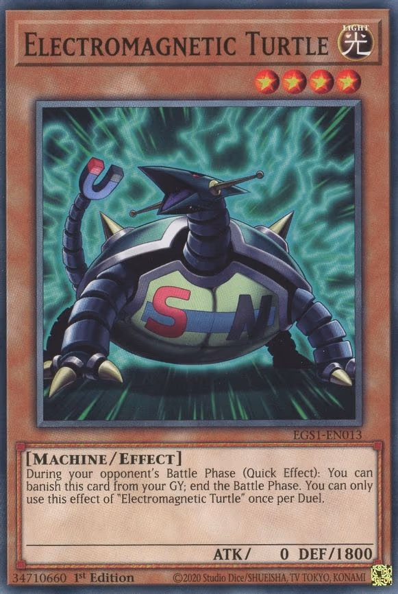 Electromagnetic Turtle