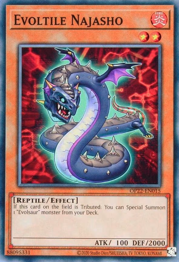 Evoltile Najasho
