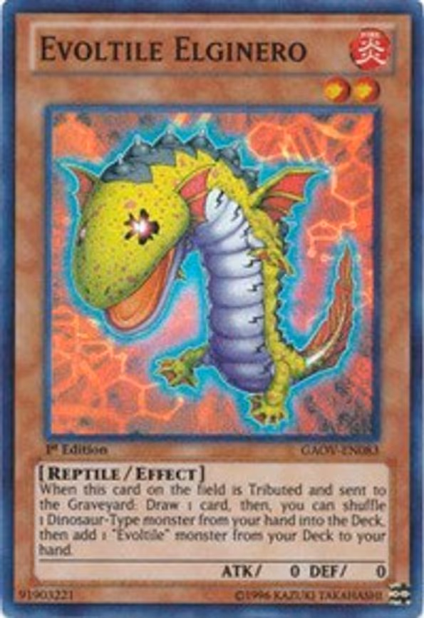 Evoltile Elginero