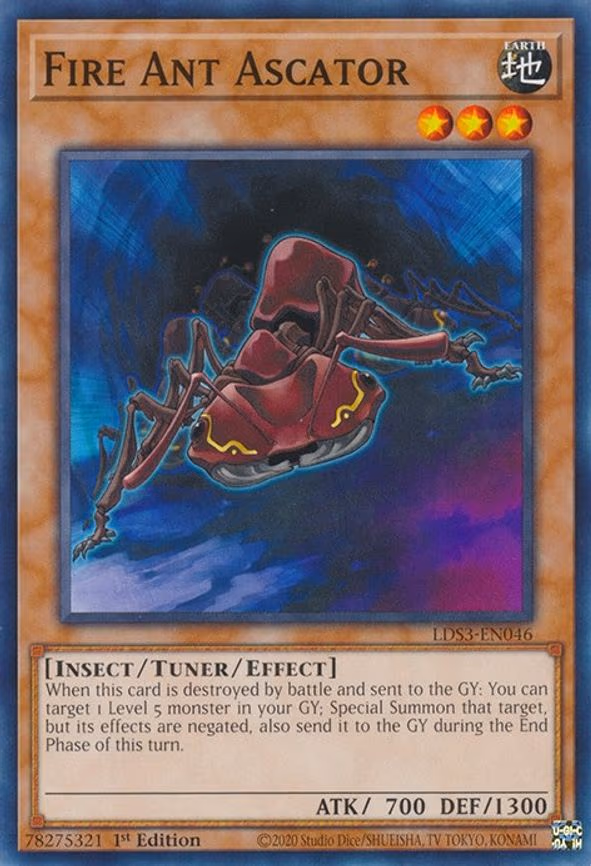 Fire Ant Ascator