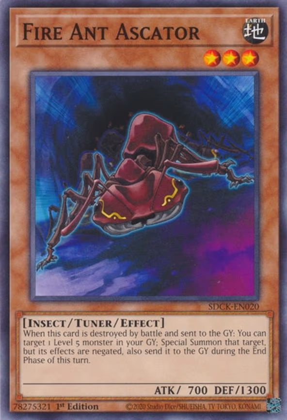 Fire Ant Ascator