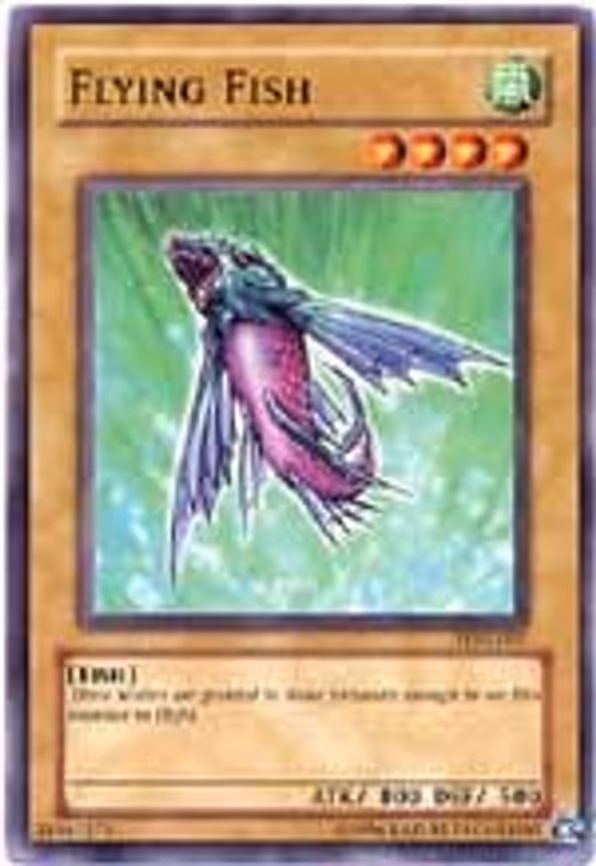 Flying Fish