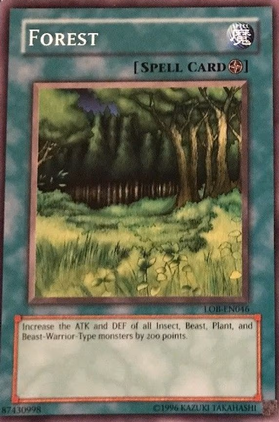 Forest
