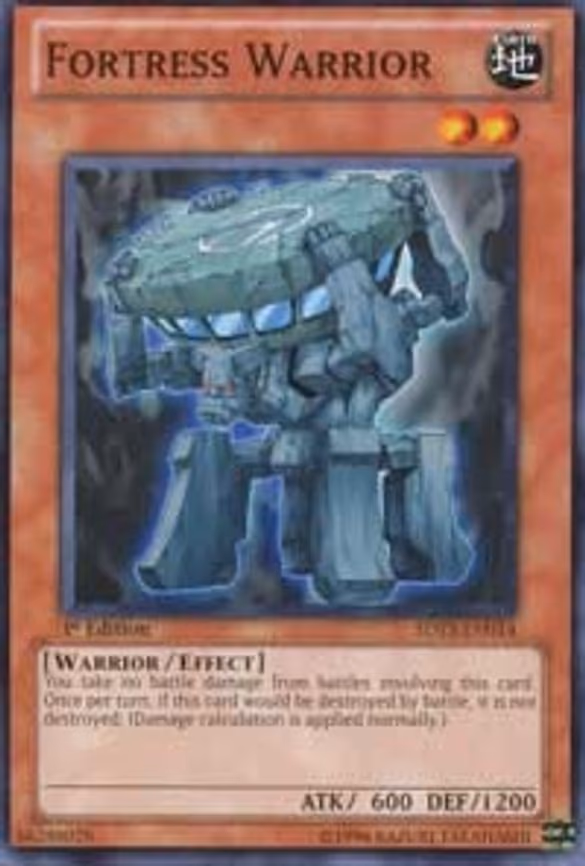 Fortress Warrior