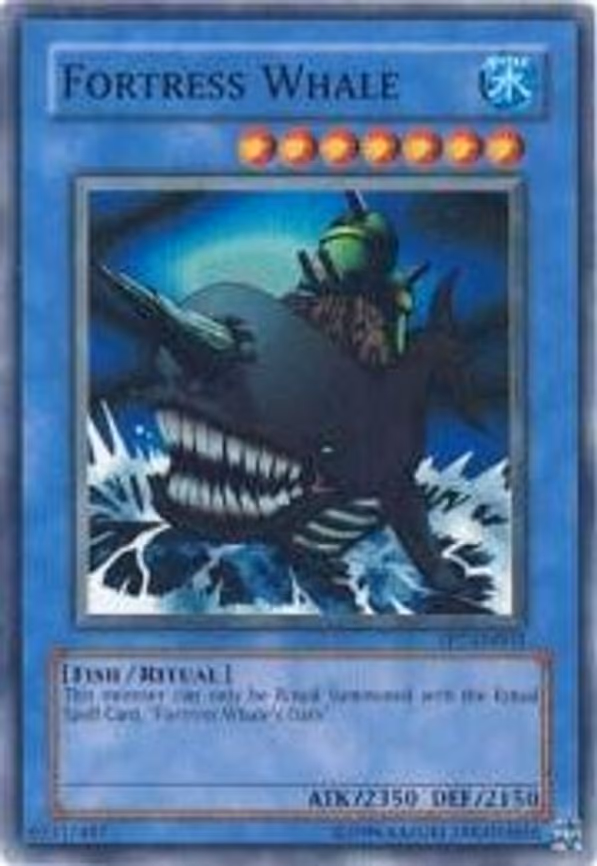 Fortress Whale