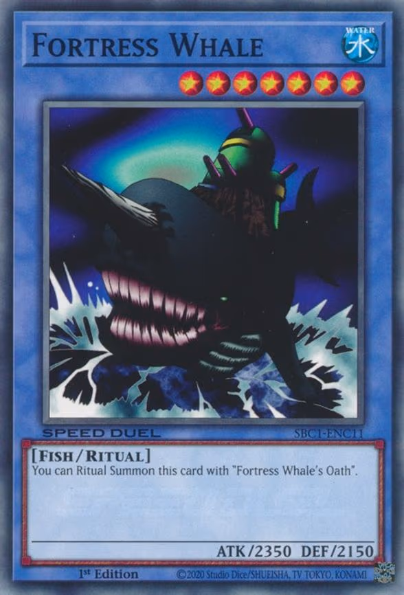 Fortress Whale