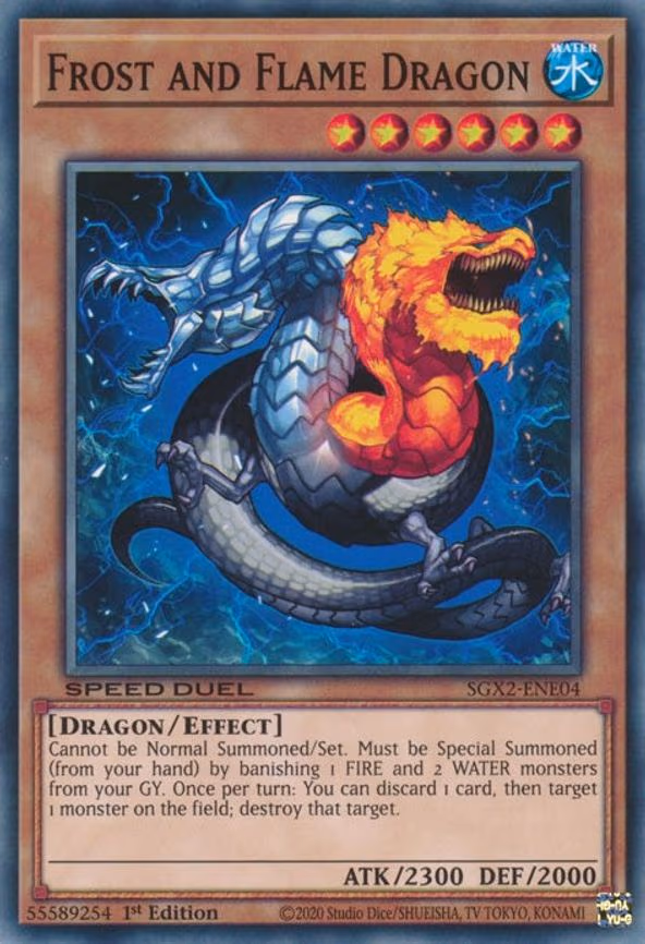 Frost and Flame Dragon