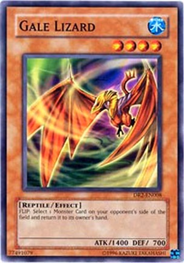 Gale Lizard