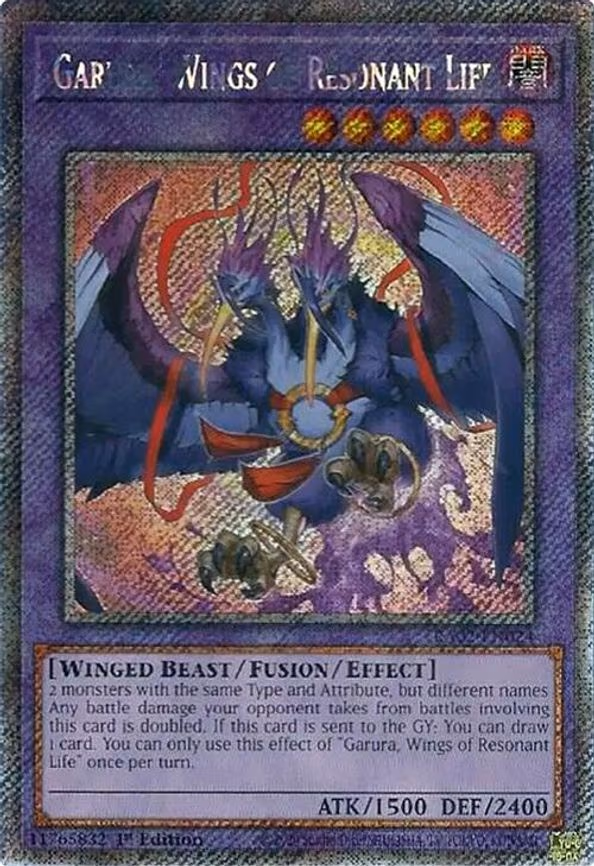 Garura, Wings of Resonant Life