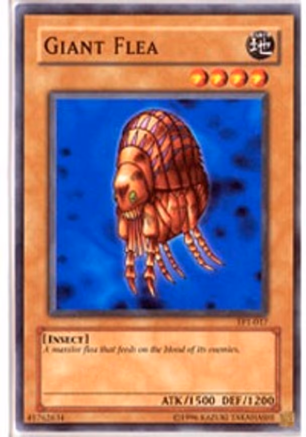 Giant Flea