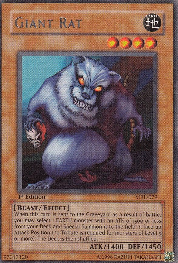 Giant Rat
