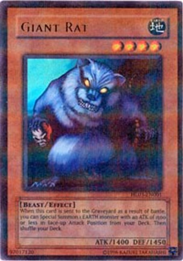 Giant Rat