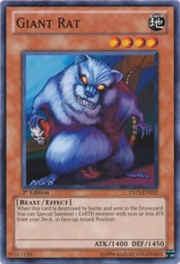 Giant Rat
