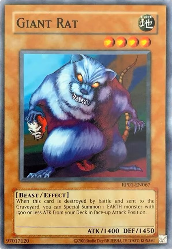 Giant Rat