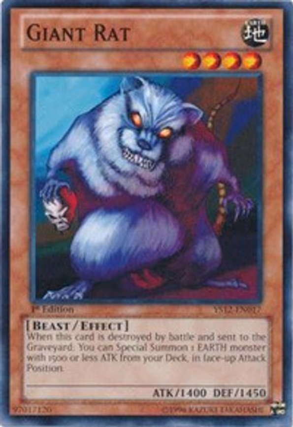 Giant Rat