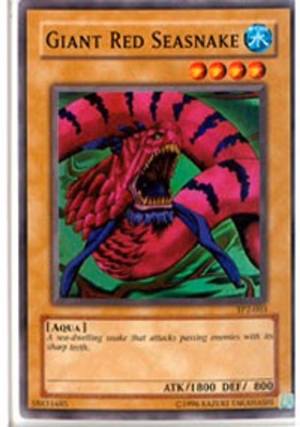 Giant Red Seasnake