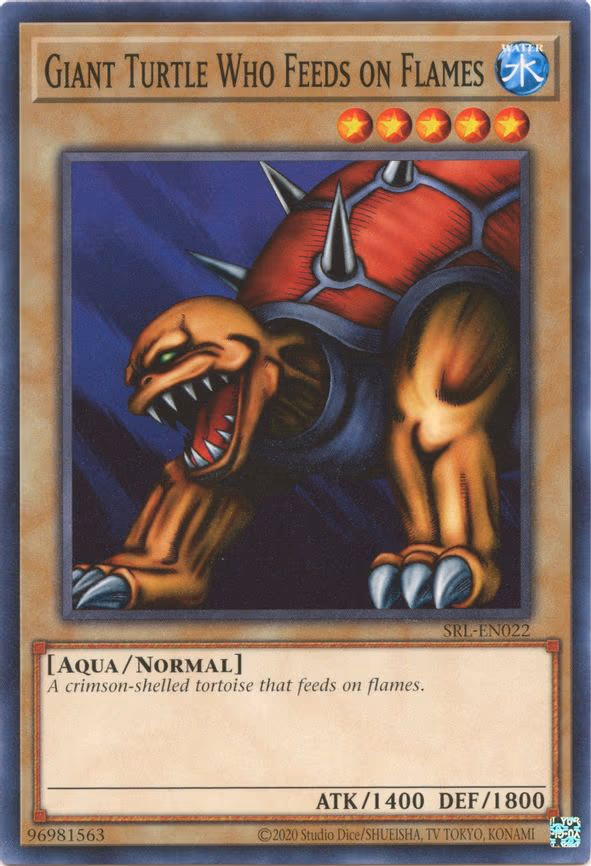 Giant Turtle Who Feeds on Flames
