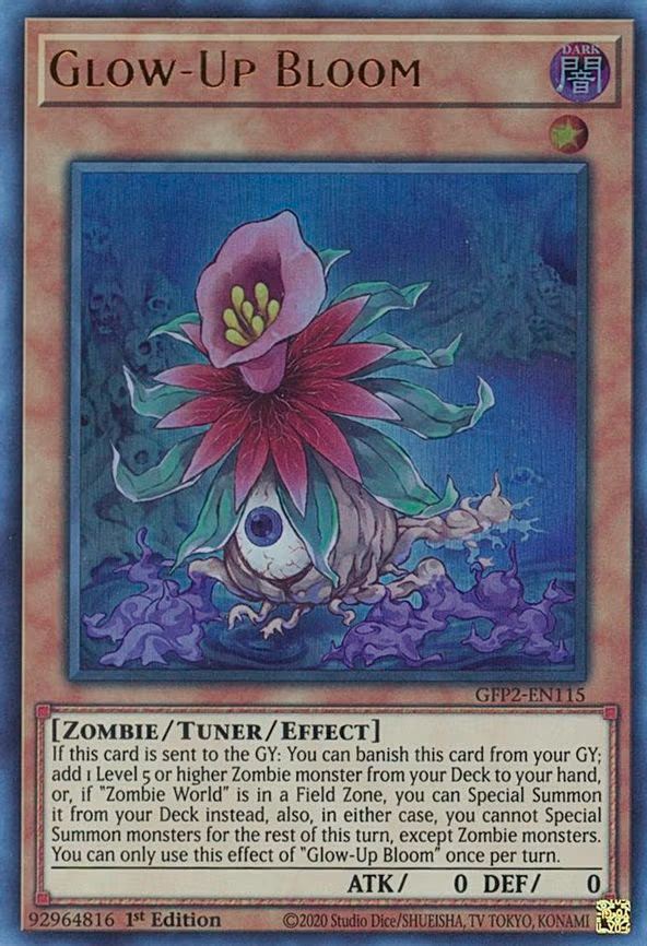 Glow-Up Bloom