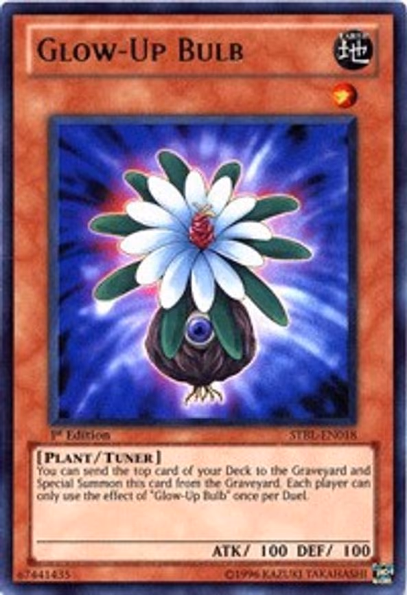Glow-Up Bulb