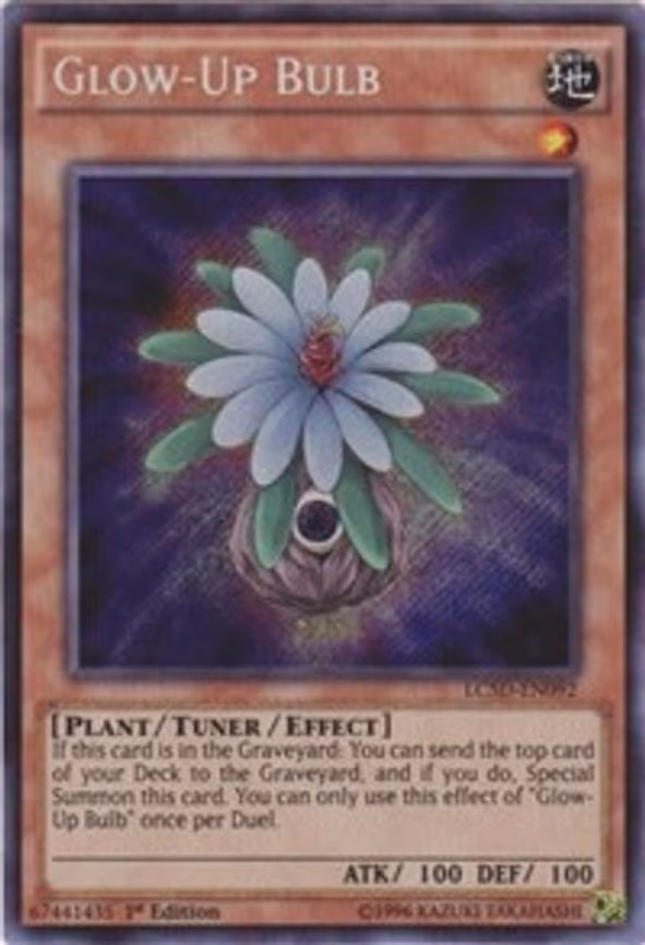 Glow-Up Bulb