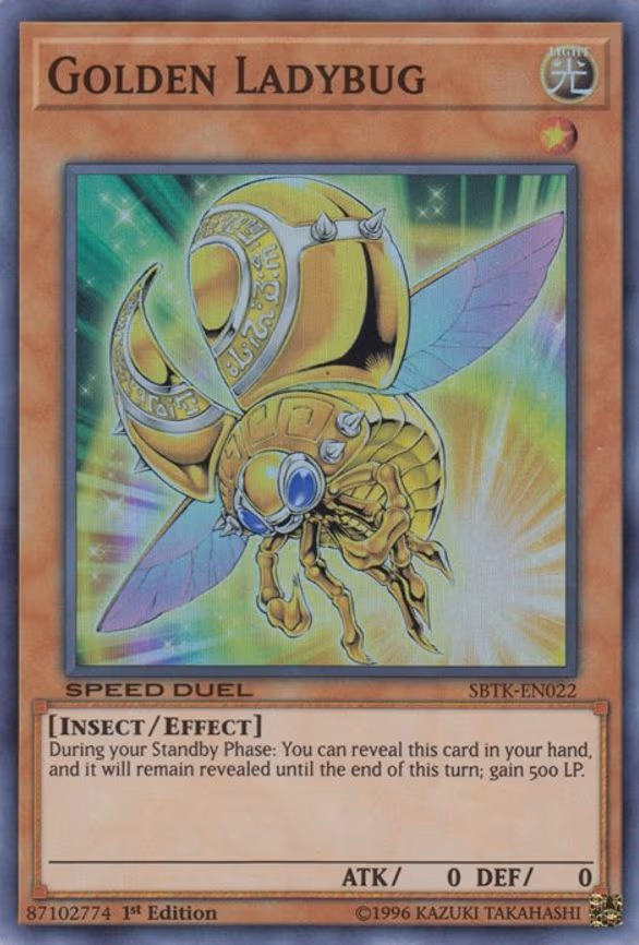 Golden Ladybug