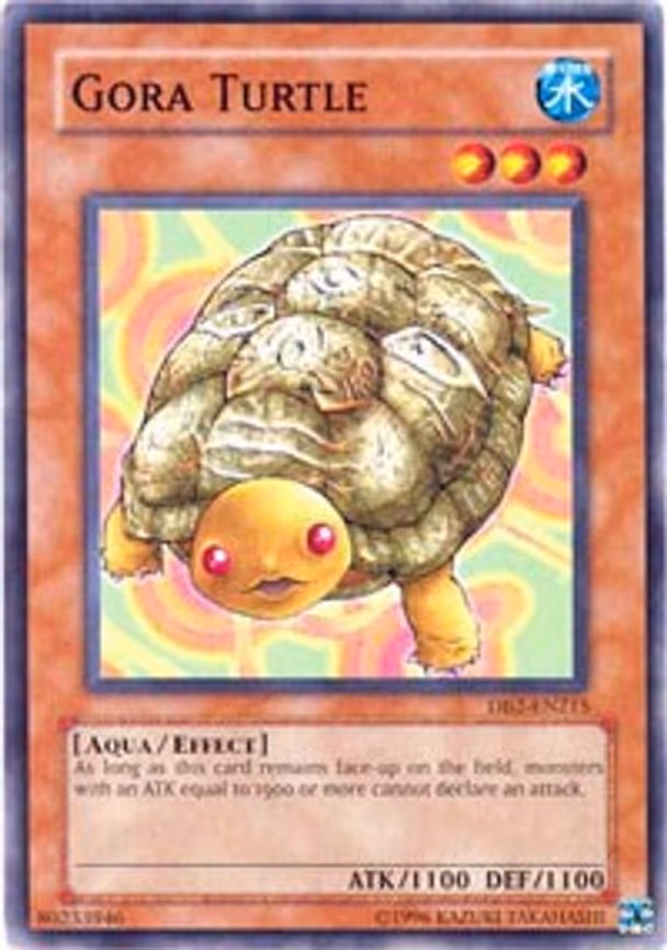 Gora Turtle