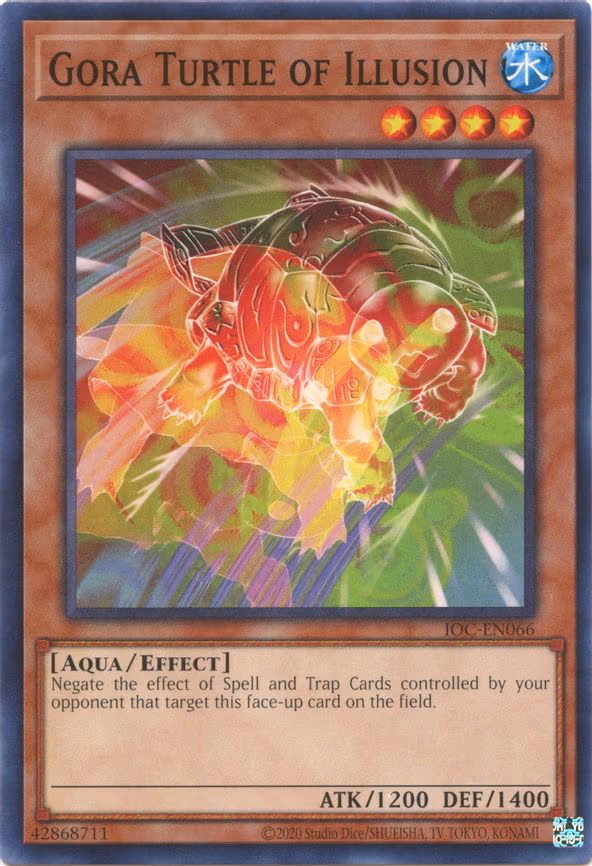 Gora Turtle of Illusion