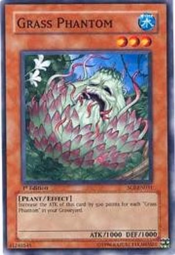 Grass Phantom