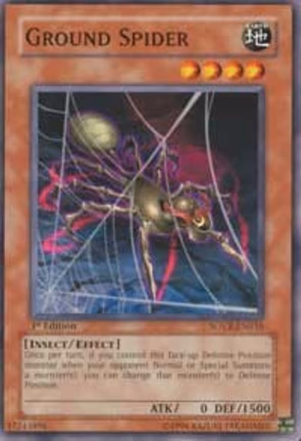 Ground Spider