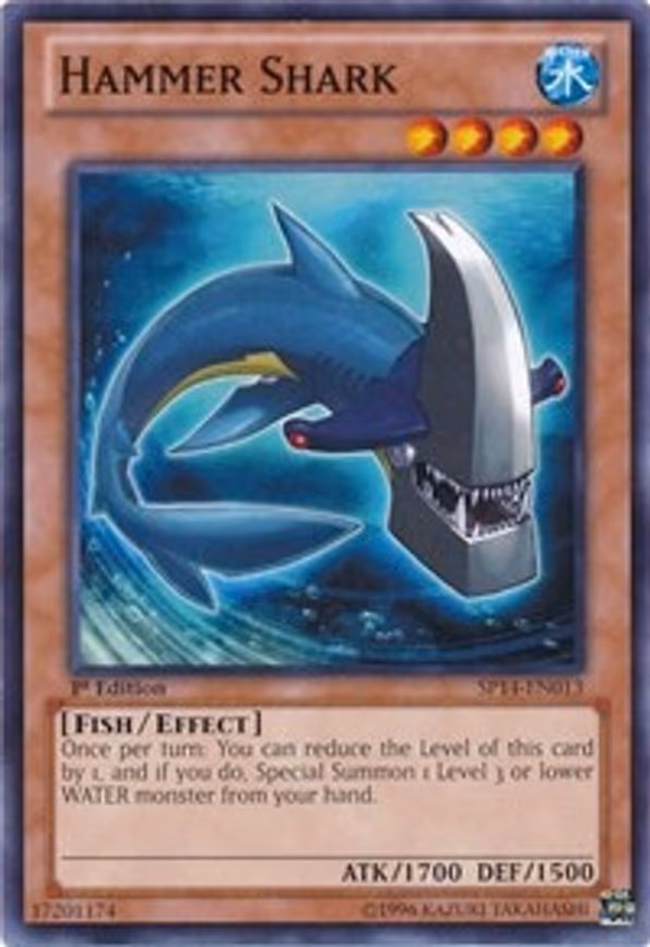 Hammer Shark