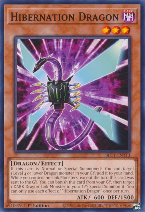 Hibernation Dragon