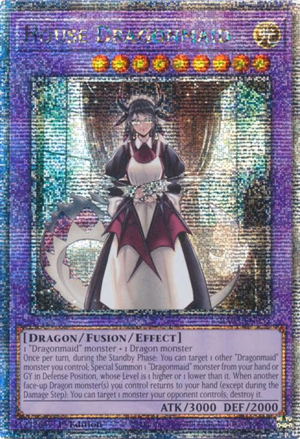 House Dragonmaid