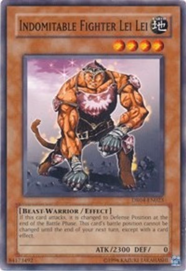 Indomitable Fighter Lei Lei