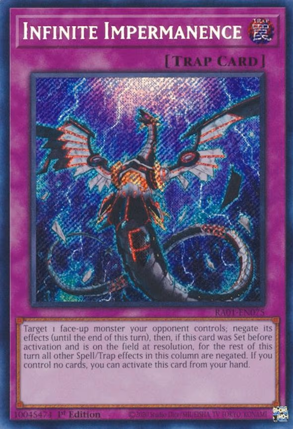 Infinite Impermanence