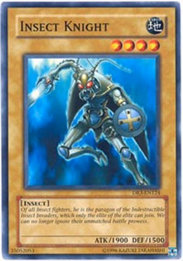 Insect Knight