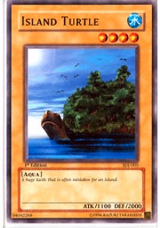 Island Turtle