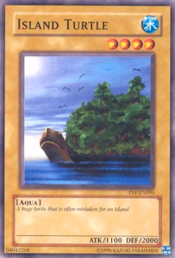 Island Turtle