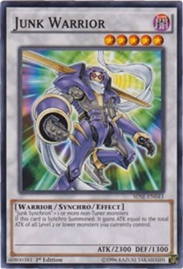 Junk Warrior