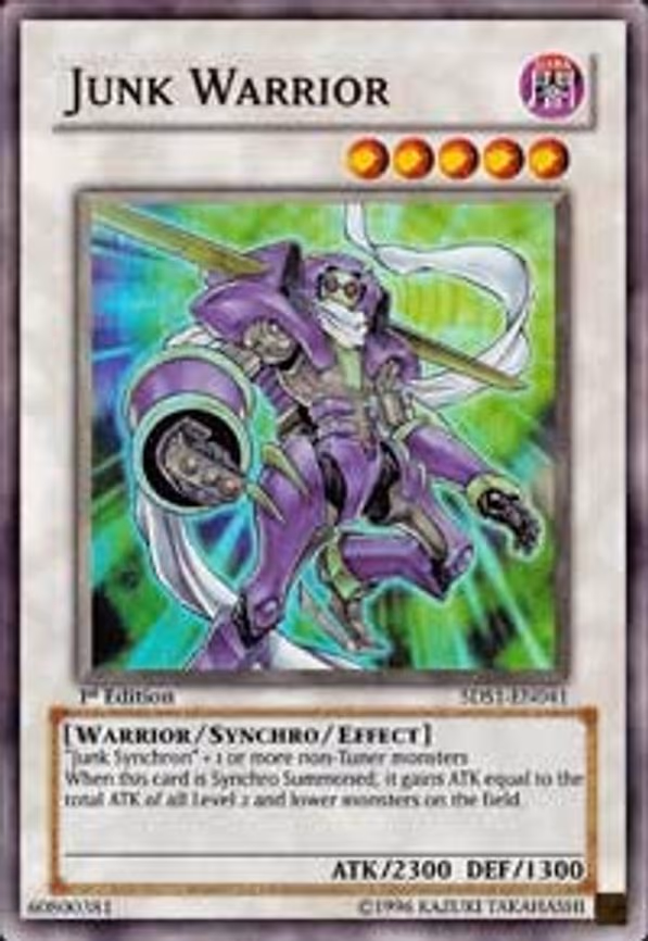 Junk Warrior