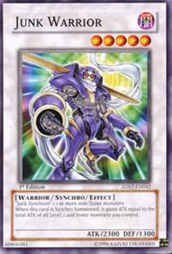 Junk Warrior