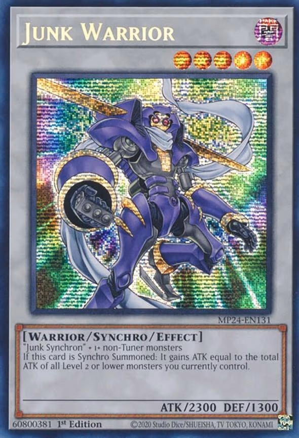 Junk Warrior