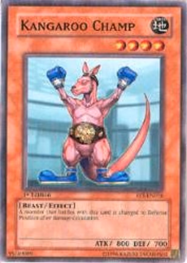 Kangaroo Champ