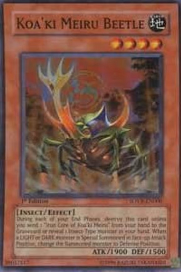 Koa'ki Meiru Beetle