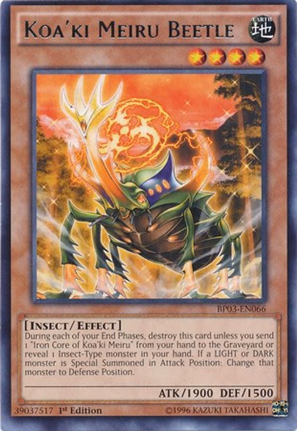 Koa'ki Meiru Beetle
