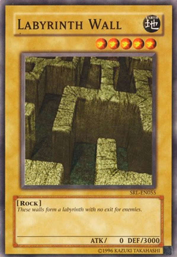 Labyrinth Wall