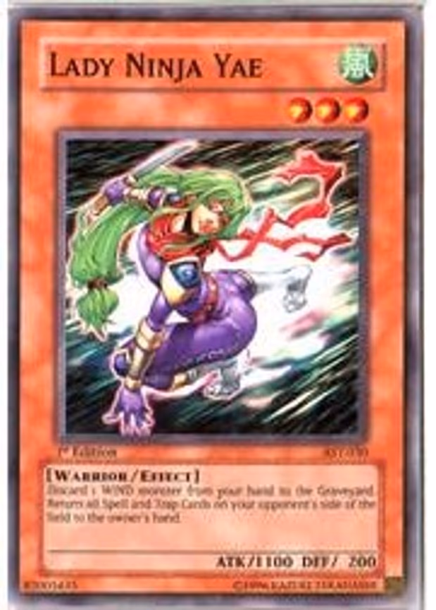 Lady Ninja Yae