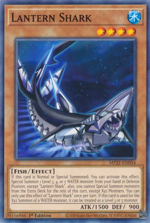 Lantern Shark