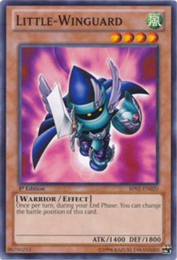 Little-Winguard