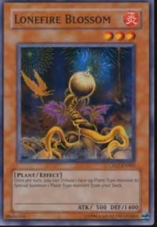Lonefire Blossom