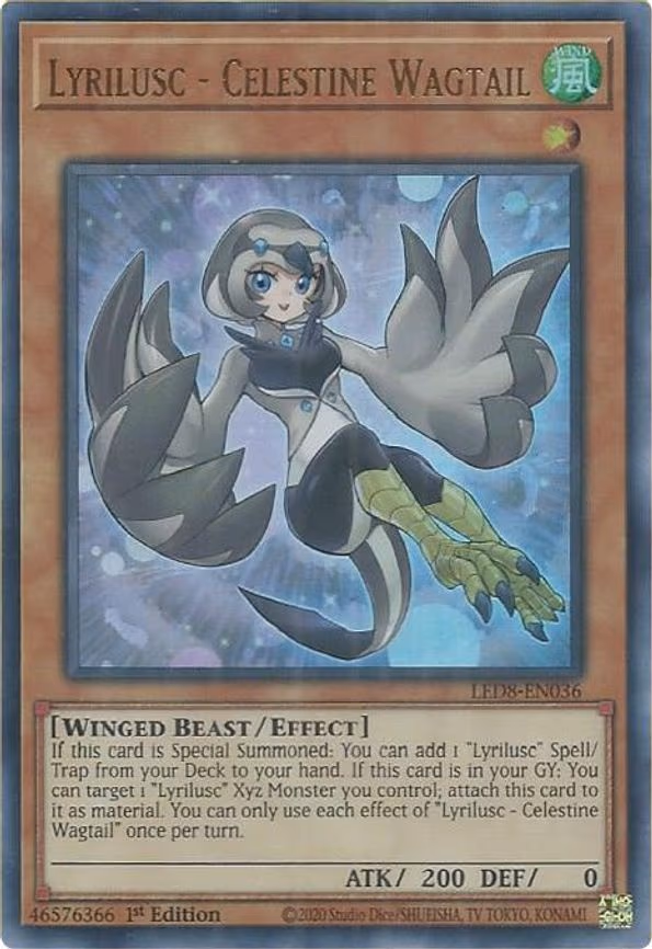 Lyrilusc - Celestine Wagtail